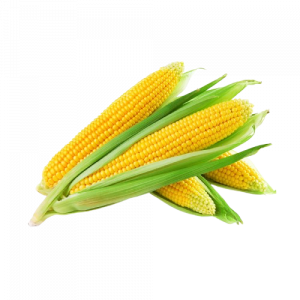 Corn
