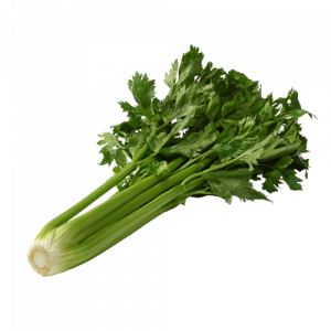 Celeris