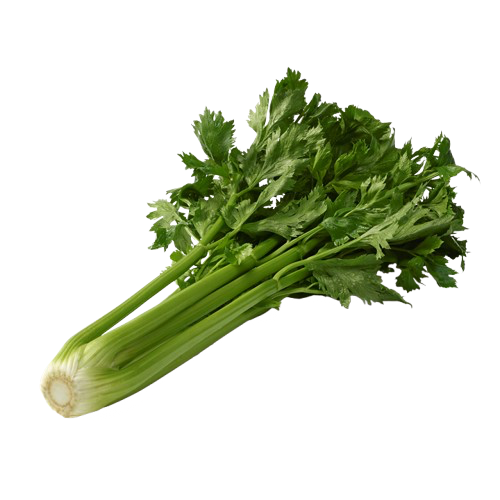 Celeris