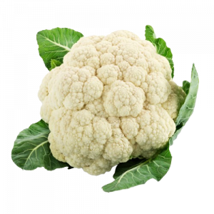 Cabbage