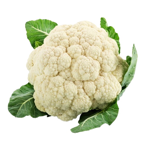 Cabbage