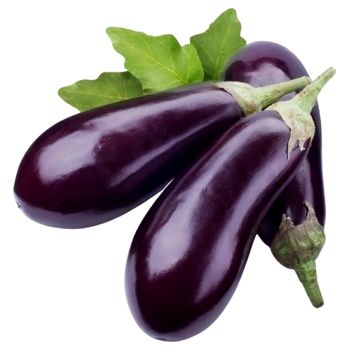 Eggplant