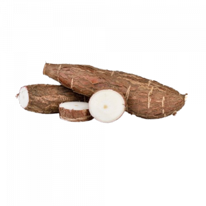 manioc