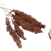 Sorgho