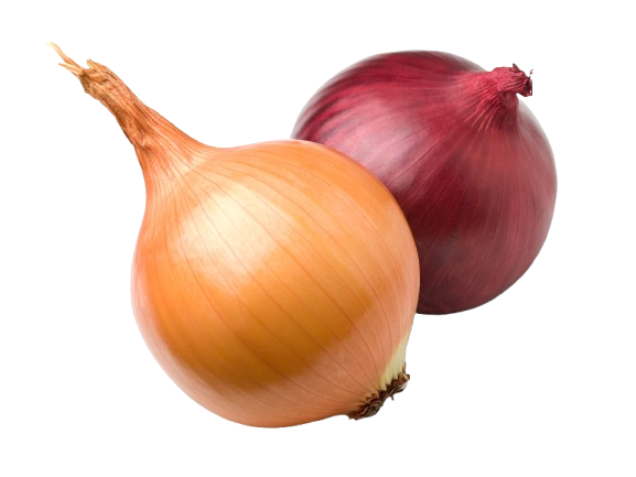 Oignons